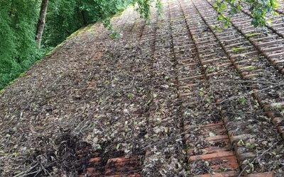 Préservez votre toit avec le démoussage de toiture à Saint-Dizier !